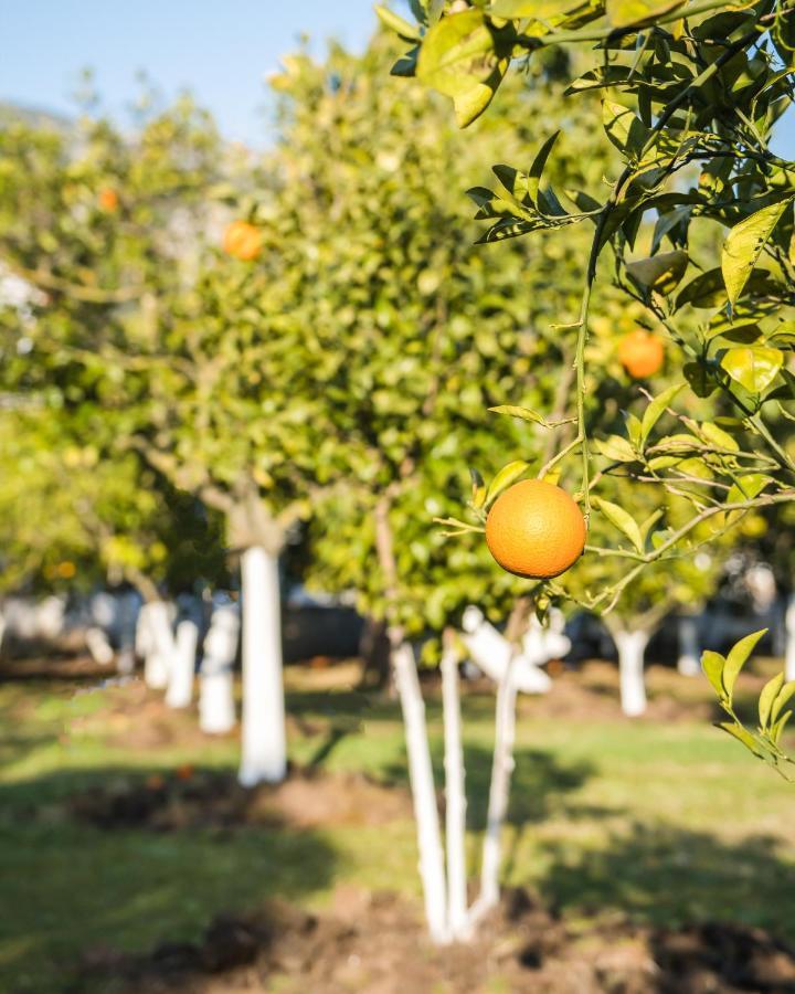 Oase Garden Hotel Cirali Bagian luar foto